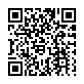 To view this 2014 HYUNDAI ACCENT   from Discount  Autos Inc. | Buy Here Pay Here Cibolo, please scan this QR code with your smartphone or tablet to view the mobile version of this page.